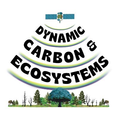 Dynamic Carbon and Ecosystems Lab Profile