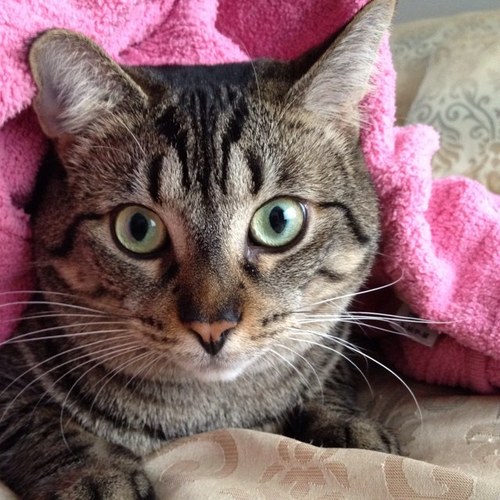 emilyhelenabp's profile picture. 