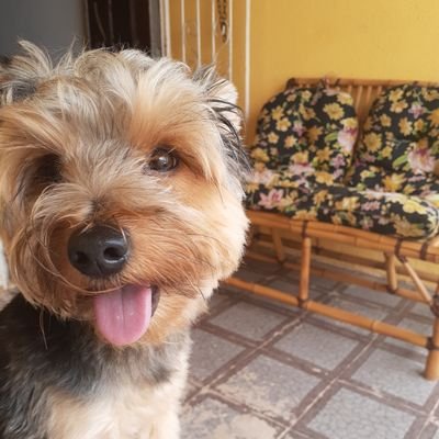 falamony's profile picture. 