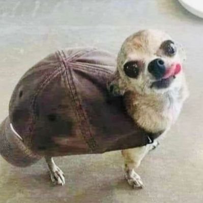 masli77648837's profile picture. 