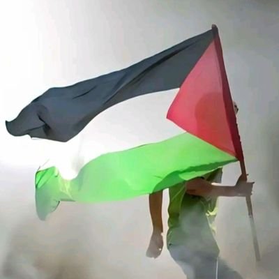 mhussnain018's profile picture. 