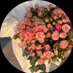 وجدان (@lliw_40) Twitter profile photo وجدان (@lliw_40) Twitter profile photo