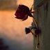 Abdualghany (@abdualghani22) Twitter profile photo Abdualghany (@abdualghani22) Twitter profile photo
