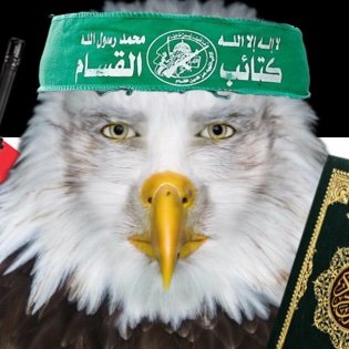 ballsinmyface12's profile picture. 