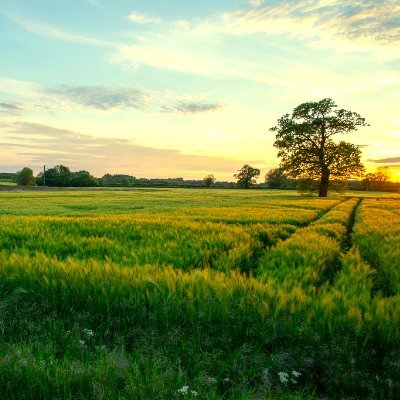 Nuffield International enables farmers and agri-professionals to explore global agriculture and grow as individuals and leaders