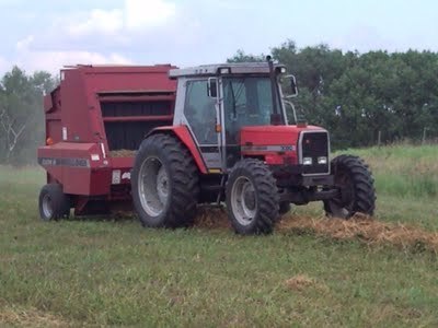 Agricultural Consultant and Rancher in Amisk, Alberta.