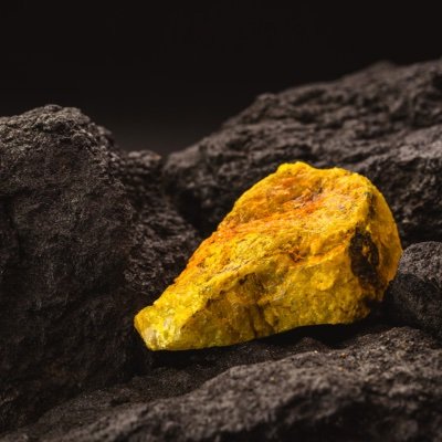 Mohite2739's profile picture. 