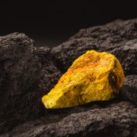 Uranium⚒️Miners (@mohite2739) 's Twitter Profile