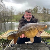 Peter (@peteraddy74) 's Twitter Profile