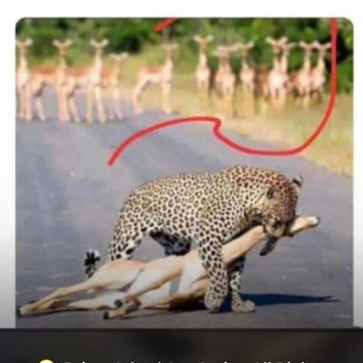 hacks_oflife's profile picture. 