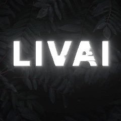 livaipubgm Profile Picture