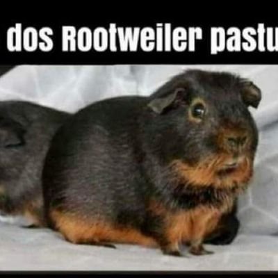 KrlosEdu_P's profile picture. 