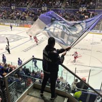 the italian word for bald (@thelifeofcalvo) 's Twitter Profile