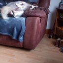 Sandra Muir - @SandraMuir17005 - Twitter