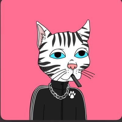 chifan17's profile picture. Crypto, NFTs, Sports 🐻⬇️, White Sox, Bulls