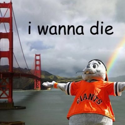 sf sports