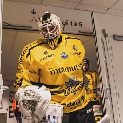 🇫🇷 Gardien professionnel aux @dragonsderouen 🏒 | Cod player | https://t.co/yy97uw2Drk