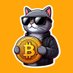 THEO (@theo_bitcoin) Twitter profile photo THEO (@theo_bitcoin) Twitter profile photo
