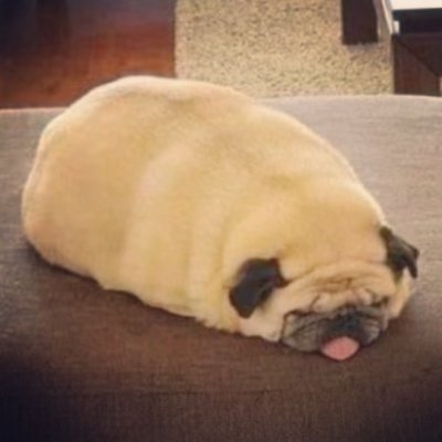 0_muratti_0's profile picture. 〜𝑰 𝒅𝒐𝒏’𝒕 𝒄𝒂𝒓𝒆 𝒊𝒇 𝒂𝒏𝒚𝒐𝒏𝒆 𝒎𝒂𝒌𝒆𝒔 𝒂 𝒇𝒐𝒐𝒍 𝒐𝒇 𝒎𝒆〜