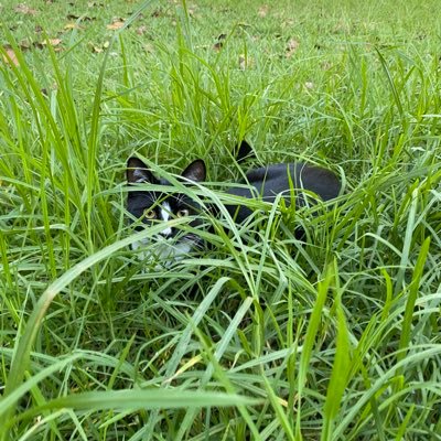 saradreams_'s profile picture. 