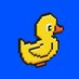 DUCKS (@ducksol_) Twitter profile photo DUCKS (@ducksol_) Twitter profile photo