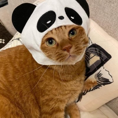 Cat2013674's profile picture. 