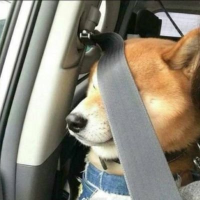 zero4xx's profile picture. 17年进圈老韭菜，永赚不接受反驳