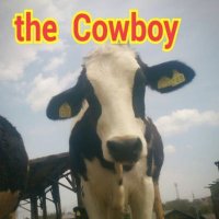 かずっち the Cowboy (@kazu_the_cowboy) Twitter profile photo