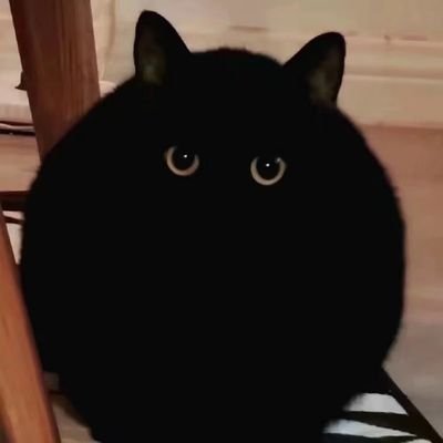 午夜鲨さんのプロフィール画像