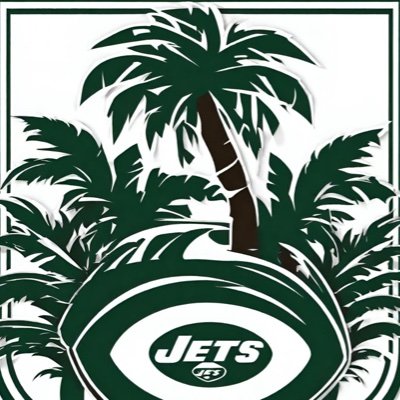 A jet fan living in dolphin territory