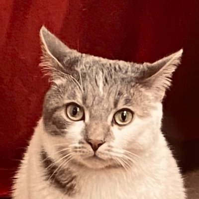 @faithdefender