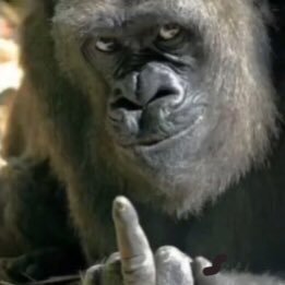 Left_HLM's profile picture. Dj Left @hastalasmanostv Beatmaker y Dj