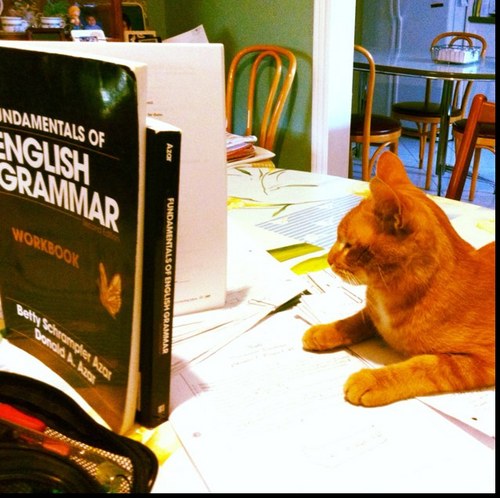 MsTramonte's profile picture. English teacher at St. Oscar Romero C.S.S.
TCDSB