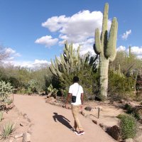 Ethan Taylor (@ethodaking) 's Twitter Profile