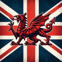 Wales for a UK 🇺🇦 🏴 🇬🇧 🇮🇱 (@walesforauk) 's Twitter Profile