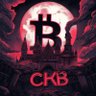 KnowledgeNervos's profile picture. Decade+ in cybersecurity. I automate threat detection and response by day and evangelize global neutral infrastructure by night.