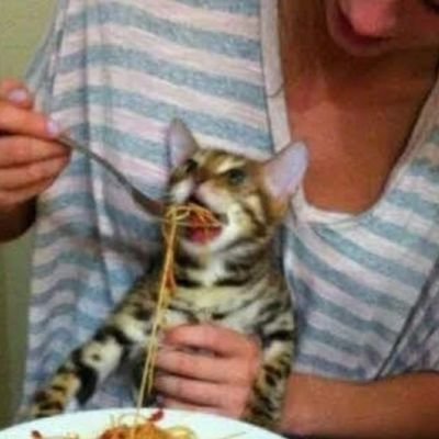 c4roIina's profile picture. 