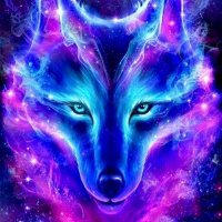🌟JJboii14🌙 (@jjboii14) 's Twitter Profile