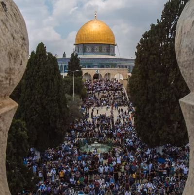 ElJannay's profile picture. منشوراتي تعبر عن آراء الشخصية ومعتقداتي وليس لي أي علاقة بأي جهة كيفما كانت.