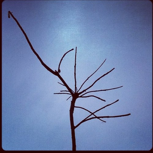 amychasegulden's profile picture. 