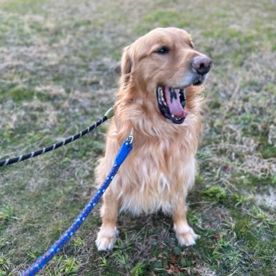 321_sunnydays's profile picture. 中身は永遠の中３らしい。いつまでも自由を愛し、好きなことを呟きます。アイラブ新潟・村上・NGT48・アルビ・MINI・カメラ練習中📷無言フォロー失礼します！NGTツイにはFF外から、めっちゃいいね👍しちゃいます♫