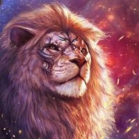 Rahul Lamani (@rahul_l_mdrs) 's Twitter Profile