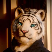 メラク／Merak(@nico_w_tiger) 's Twitter Profile Photo