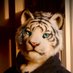 メラク/Merak (@nico_w_tiger) Twitter profile photo メラク/Merak (@nico_w_tiger) Twitter profile photo