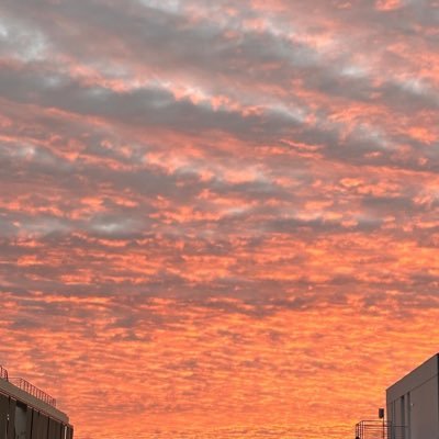 extropylabs's profile picture. Advances in science and technology will someday let people live indefinitely.