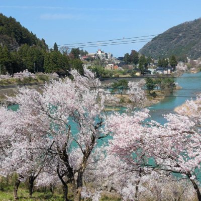 富山市に４月から単身赴任しています。よろしくお願いします。