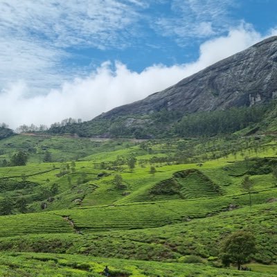 Shadabvakil's profile picture. 