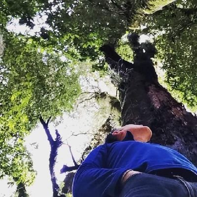 AmanteB4ndido's profile picture. Mg en Educación, Ingeco, Profe, Constelador Organizacional y Familiar,Runner y Cruzado a mucha honra. Felizmente casado con @Scararenas