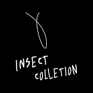 インセクトコレクション 昆虫デザインブランド Insect Collection