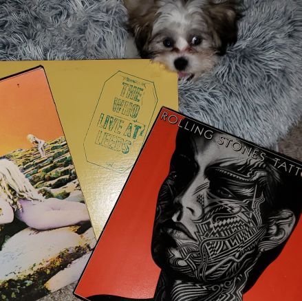 hawkvibe's profile picture. 